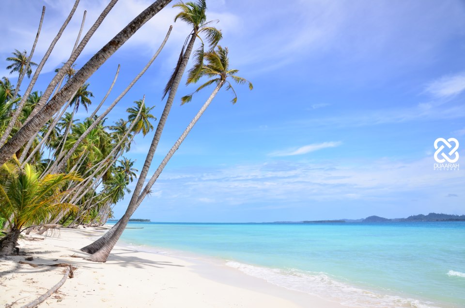 beach on a desert island